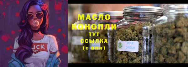 крисы Мегион