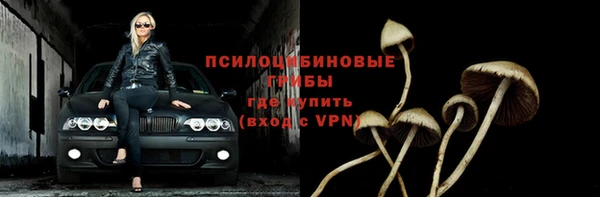 крисы Мегион