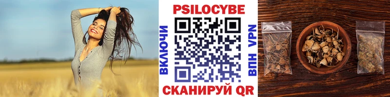 Псилоцибиновые грибы Psilocybine cubensis  Купить  Крымск 